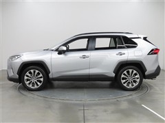 RAV4 G Z PKG