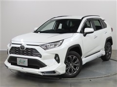 RAV4 G