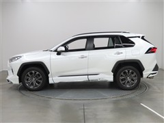 RAV4 G