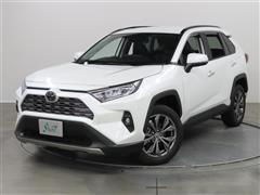 RAV4 G