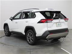 RAV4 G