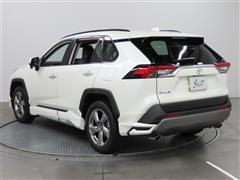 RAV4 G