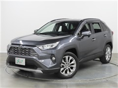 RAV4 G Z PKG