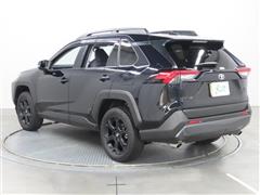 RAV4 アドベンチャー オフロート