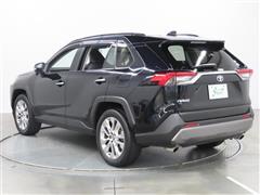 RAV4 G Z PKG