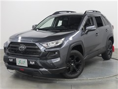 RAV4 アドベンチャーオフロード