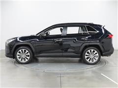 RAV4 G Z PKG
