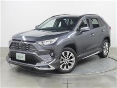 RAV4 G Z PKG