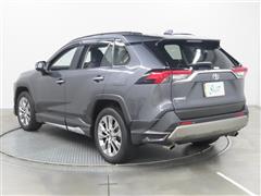 RAV4 G Z PKG