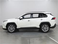 RAV4 G Z PKG