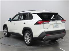 RAV4 G Z PKG