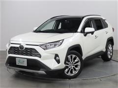 RAV4 G Z PKG