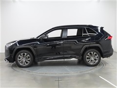RAV4 G