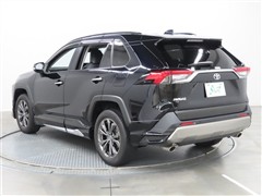 RAV4 G