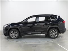 RAV4 G
