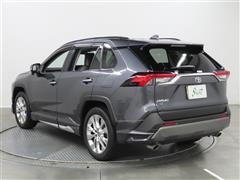 RAV4 G Z PKG