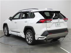 RAV4 G Z PKG