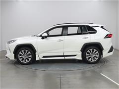 RAV4 G Z PKG