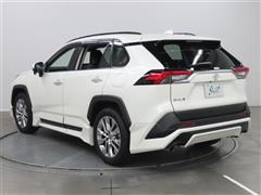 RAV4 G Z PKG