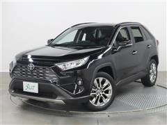 トヨタ RAV4 G Z PKG