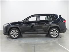 RAV4 G Z PKG