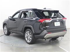 RAV4 G Z PKG