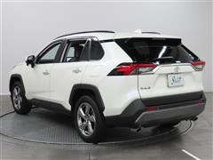 RAV4 G
