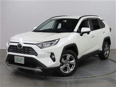 RAV4 G