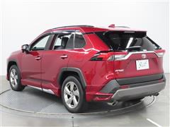 RAV4 G