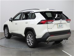RAV4 G Z PKG