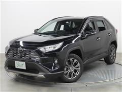 RAV4 G