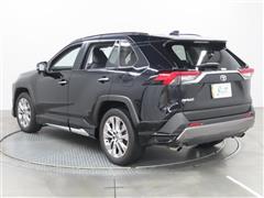 RAV4 G Z PKG