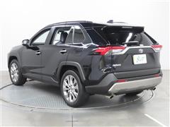 RAV4 G Z PKG
