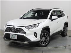 RAV4 G