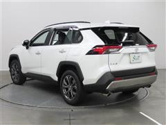RAV4 G