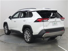 RAV4 G Z PKG