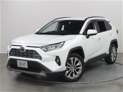 RAV4 G Z PKG