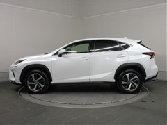 NX300I パッケージ