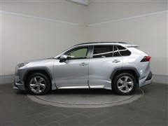 RAV4 X