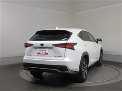 NX300h バージョンL