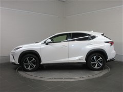 NX300h バージョンL