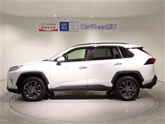RAV4 G