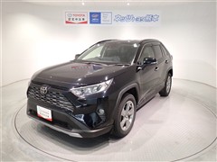 RAV4 G