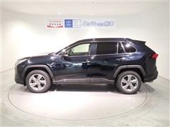 RAV4 G