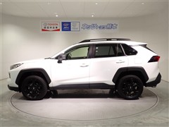 RAV4 アドベンチャー オフロート