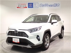 RAV4 G