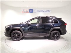 RAV4 アドベンチャー オフロート
