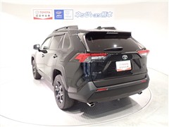 RAV4 アドベンチャー オフロート