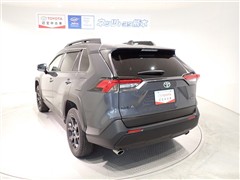 RAV4 アドベンチャー オフロート