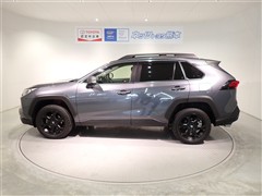 RAV4 アドベンチャー オフロート